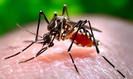 Obavijest mještanima o adulticidnom tretmanu komaraca na području Općine Donji Kraljevec